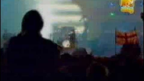 The Cranberries / Animal Instinct [Live At MTV Day]