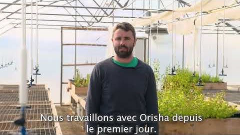 Orisha Greenhouse control system - Orisha Automation