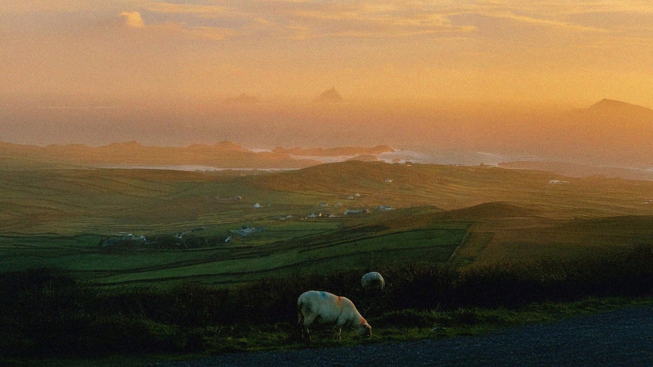 peaceful playlist ✨ it's the most beautiful time of the day