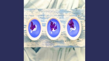 High-class Backdrops for After Work Meals