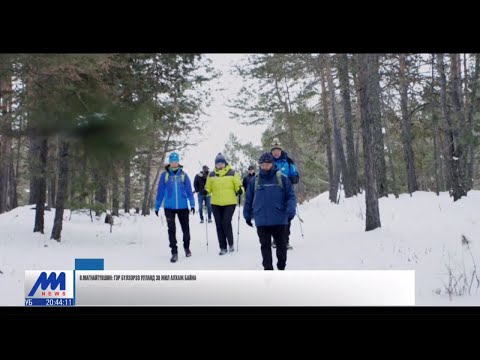 Видео: Муур, нохойнд өвлийн улиралд алхах аюул