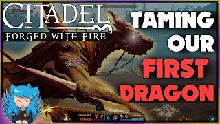 TAMING DRAGONS & UNICORNS! | Citadel Forged with Fire | Ep2