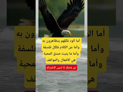 أما الود فكلهم يتظاهرون به وأما عن الكلام اكسبلور ماوراءيات  معلومات تيك توك 1  ترند