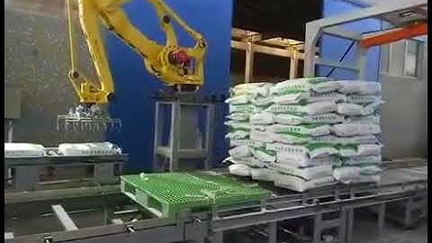 plastic particle bag  Fanuc palletizer robot stacking packing line system