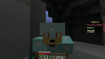 Mineplex Bridges - Hacker vs Tryhard