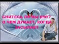 СНИТЕСЬ ЛИ ВЫ ЕМУ? О ЧЕМ ОН ДУМАЕТ КОГДА ЗАСЫПАЕТ? О ВАС? ЧТО? гадание на воске.