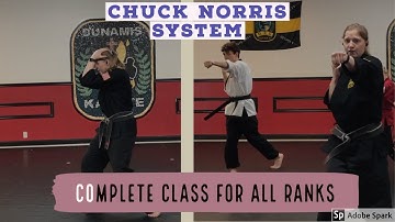 Complete Chuck Norris System Virtual Beginner Class - Combatives for All Ranks