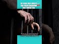 FIA Faisalabad Arrests Man for Fake Turkish Visa Bank Statement | Visa Fraud Crackdown
