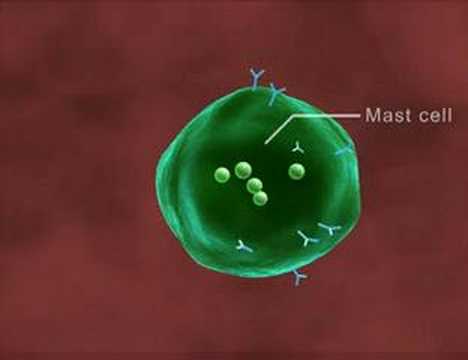 Allergy 3D Medical Animation