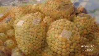 Kürtçe Komik Türkü Malatya