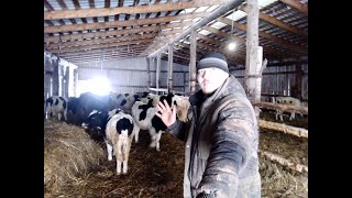 Русский фермер (часть 4)