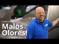 Como Eliminar Fuertes Olores en tu Carro