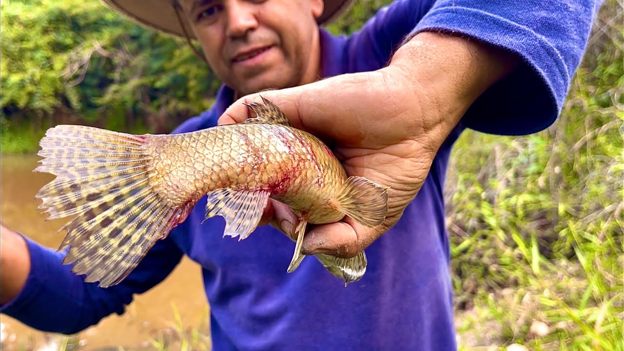 Não Teve Jeito Ultimo Vídeo da Roça no Canal Oficina Caipira - O Que Aconteceu? There was no way