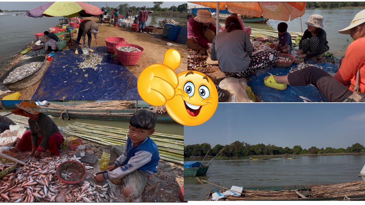 Real Cambodian Riverfood Market Compilation - Fresh Fish & Daily Lifestyle 