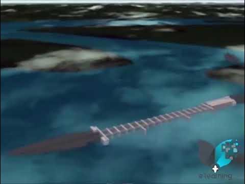 Сперматозоидтардың ауыз қуысына ағып кетуі