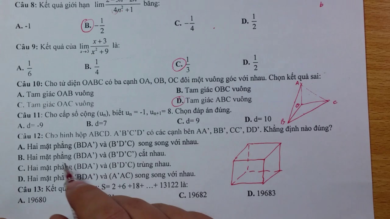 Đề thi học kì 2 toán 11 có đáp án | Chữa đề thi toán 11 giữa kì 2 – 2019