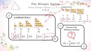6. Pola Bilangan Segitiga - Matematika SMP Kelas 8