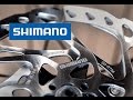 Shimano SLX RT66 & RT64 Disc Rotor Compared, 6-bolt and Center Lock