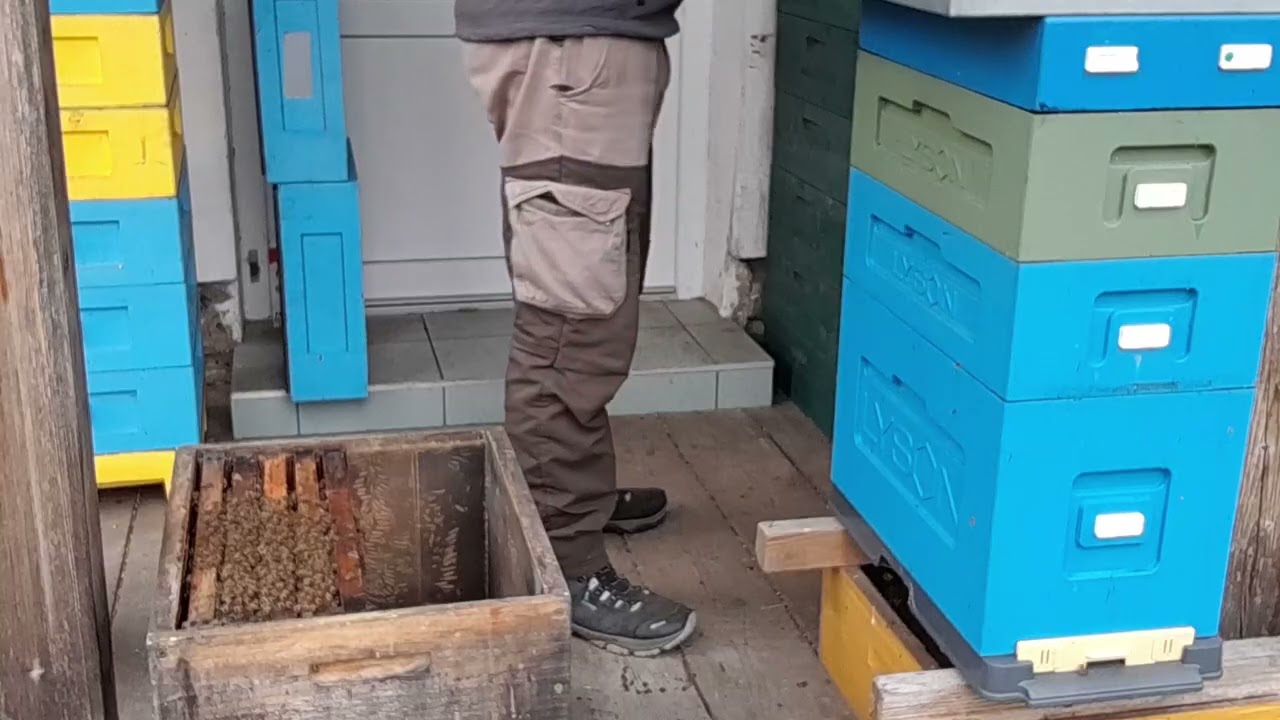 Langstroth Jumbo jak donutit matku klást dole..