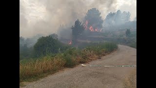 Incendio forestal en Córgomo (Vilamartín)