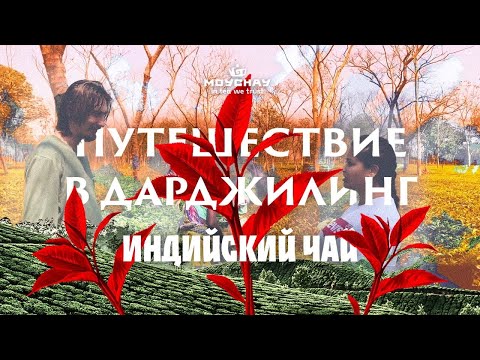 Дарджилинг. Путешествие за чаем в Индию