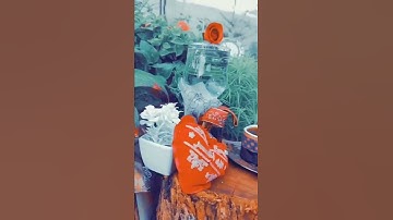 حالات واتس 🥺♥ يوم الجمعة 🖤 ساعة استجابة 💙 حالات دينية 💚 مقاطع اسلامية 💛سورة الكهف🧡ستوريات بدون كتابة