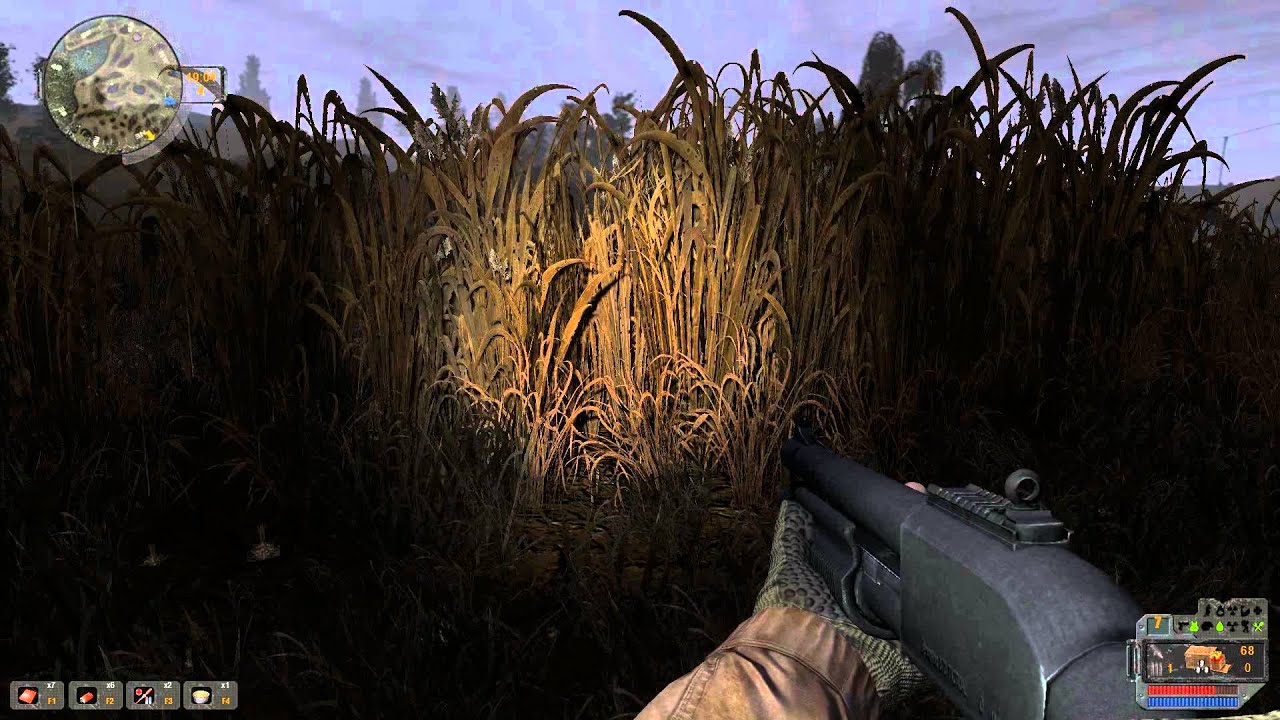 коряга сталкер зов припяти. коряга квесты зов припяти.