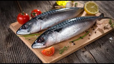 СКУМБРИЯ. Полезные свойства скумбрии.