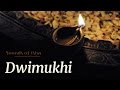 Dwimukhi | Sounds of Isha