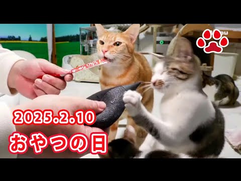 miaou様 Miaou - YouTube