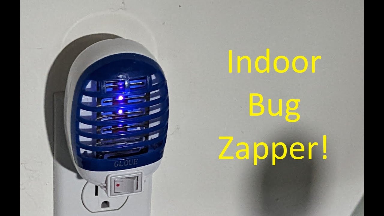 Indoor Gloue Bug zapper. YouTube