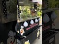 Video Image