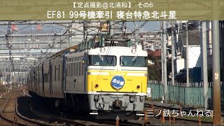 【定点撮影＠北浦和 】その６ EF81 99号機牽引 寝台特急北斗星 (2009年)