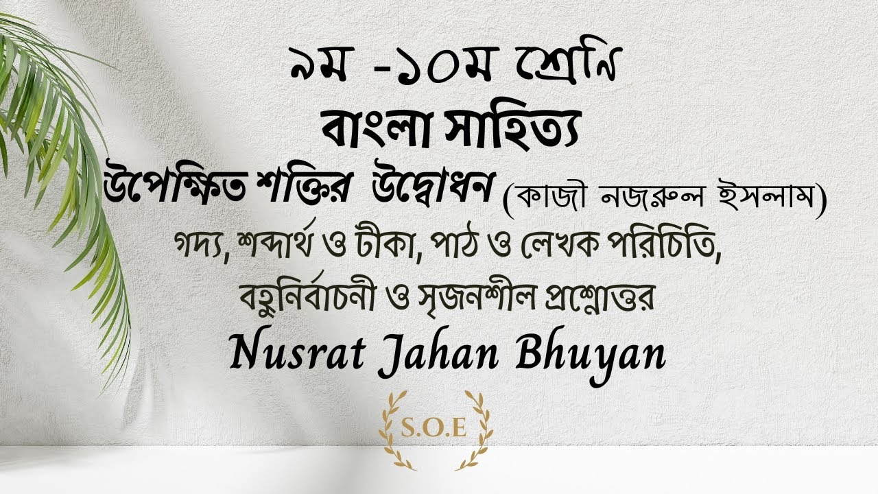 Suandagi MFF jinsiy aloqa