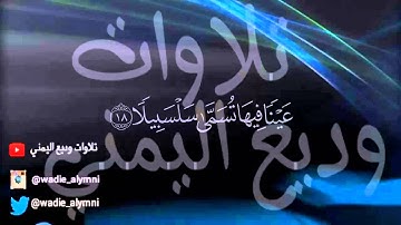 سورة الإنسان _ وديع اليمني