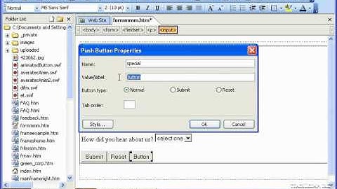 FrontPage Tutorial The Push Button Microsoft Training Lesson 16.12