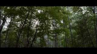 Kingdom Come - The Civil Wars (Official Music Video)