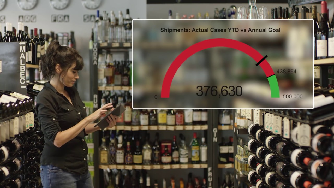 Dimensional Insight Company