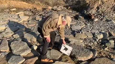 Fossil hunting with Jim ,Sandown beach,Isle of Wight #fossil #hunting #dinosaur #isleofwight ￼#viral