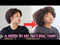 A WEEK IN MY TYPE 4 NATURAL HAIR + UPDATED WASH AND GO ROUTINE | Jasmyne Kay