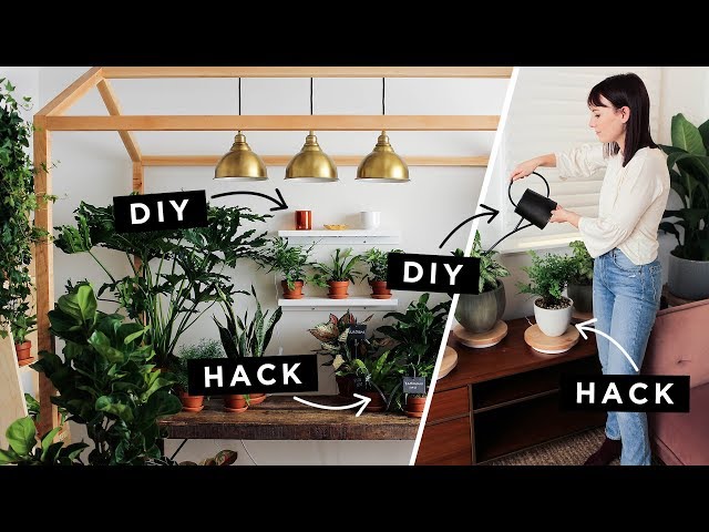 Lazy Girl Plant Hacks