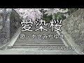 愛染桜(あさみちゆき) COVER(YASUKO)