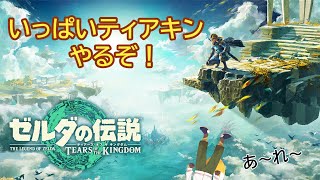 #8　リハビリ配信3　これから気軽に夜更かしできんくなるな～　[ゼルダの伝説　ティアーズ　オブ　キングダム]