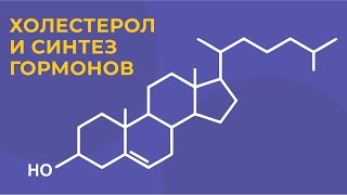 Холестерол и синтез гормонов