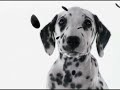 Opening to 102 Dalmatians (2000) VCD (Philippines Copy) (2003 Reprint)