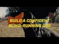 Hunt test guide building a confident blindrunning dog