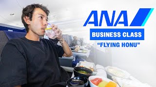 9 Hours in ANA's "Flying Honu" Business Class