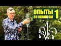 Опыты со шлангом ● 1