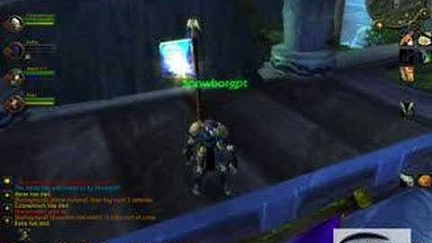 WoW on top of Alliance flag top