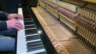 Patrick Hamilton - La Danse Damour Live Version